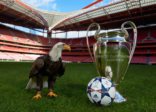 居功至伟！福克斯怒砍31分5篮板5助攻，下半场22分（福克斯爆发：31分5篮板5助攻，下半场狂轰22分）